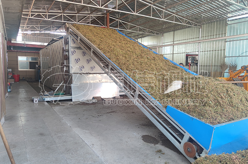 山西运城花椒烘干现场