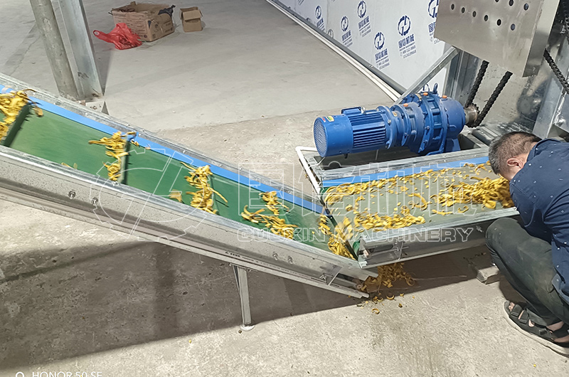 成都黄柏烘干试机现场