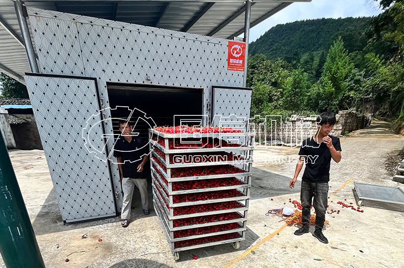 贵州遵义草莓椒烘干现场